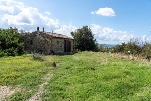 _BIS9156-HDR-PORCI