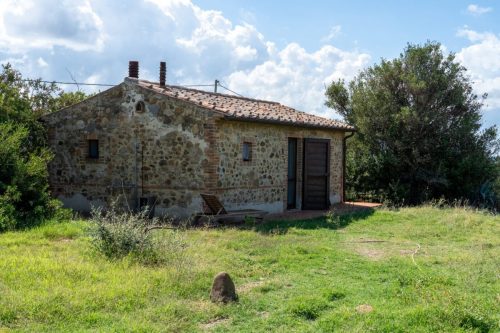 _BIS9161-HDR-PORCI
