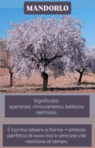 Screenshot_20251122_172959_Instagram