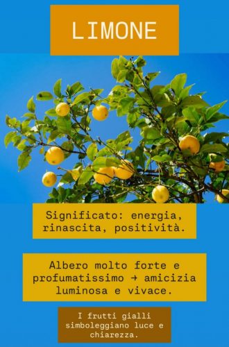 Screenshot_20251122_173008_Instagram