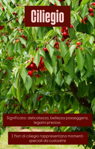 Screenshot_20251122_173018_Instagram