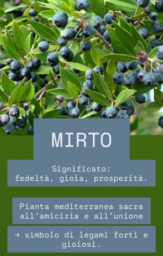 Screenshot_20251122_173113_Instagram